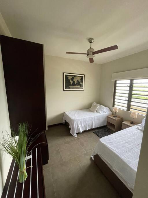 Les Alizees Grand Baie Apartment Luaran gambar